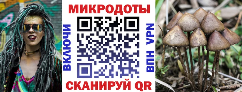 где можно купить наркотик  Фокино  Галлюциногенные грибы GOLDEN TEACHER 