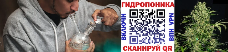 Марихуана гибрид  Фокино 